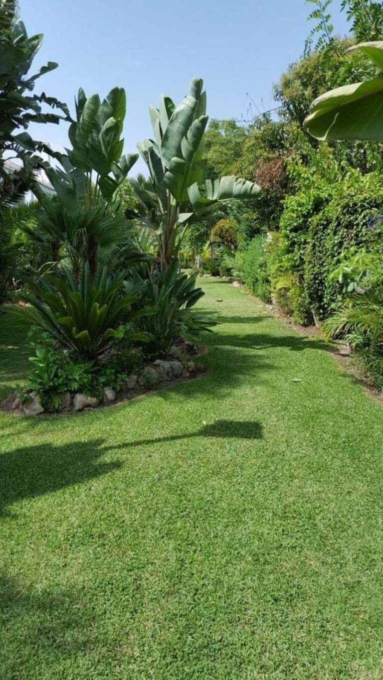 a0f7c7edfa9a25cb5f84d4e302337d2b - 10