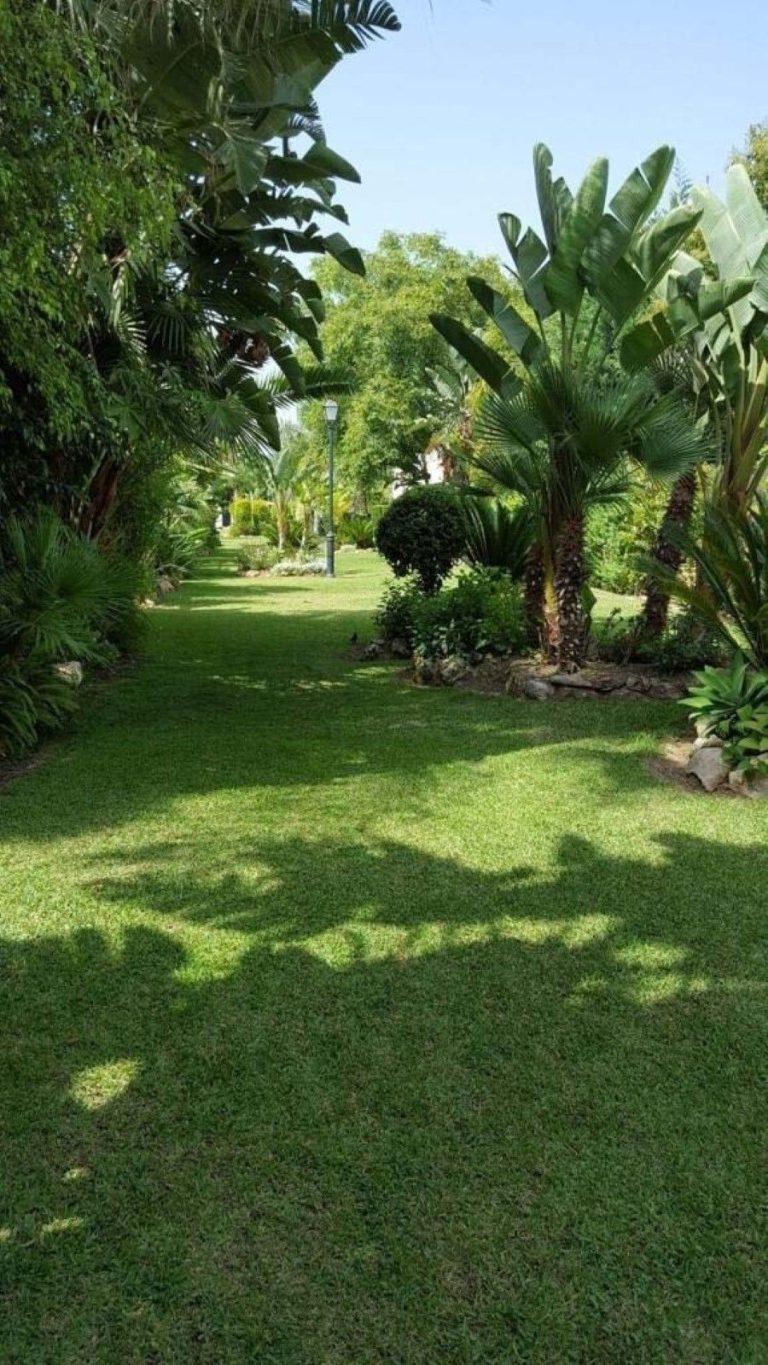 a0f7c7edfa9a25cb5f84d4e302337d2b - 12