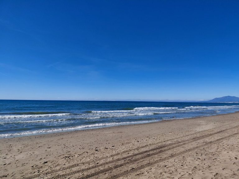 a2e57dba4b2a48e7cba61ea5f44b1265 - 5