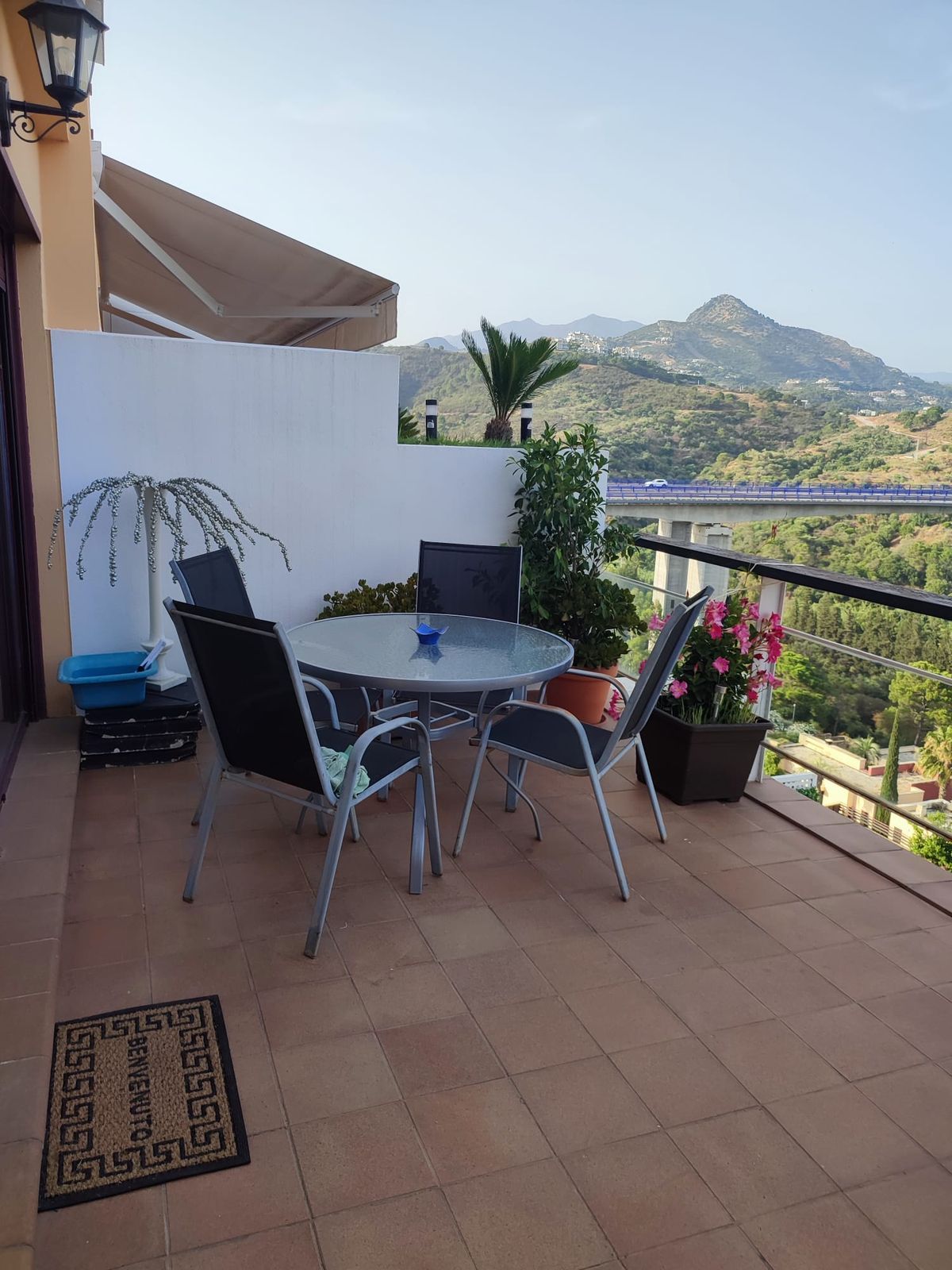 a42b763c2e21b61cfbe7dbe1dd83d2d0 - 2