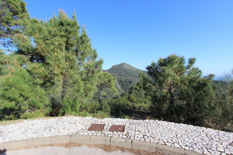 a715f8768550c7311c0ba944e60049b8 - 8