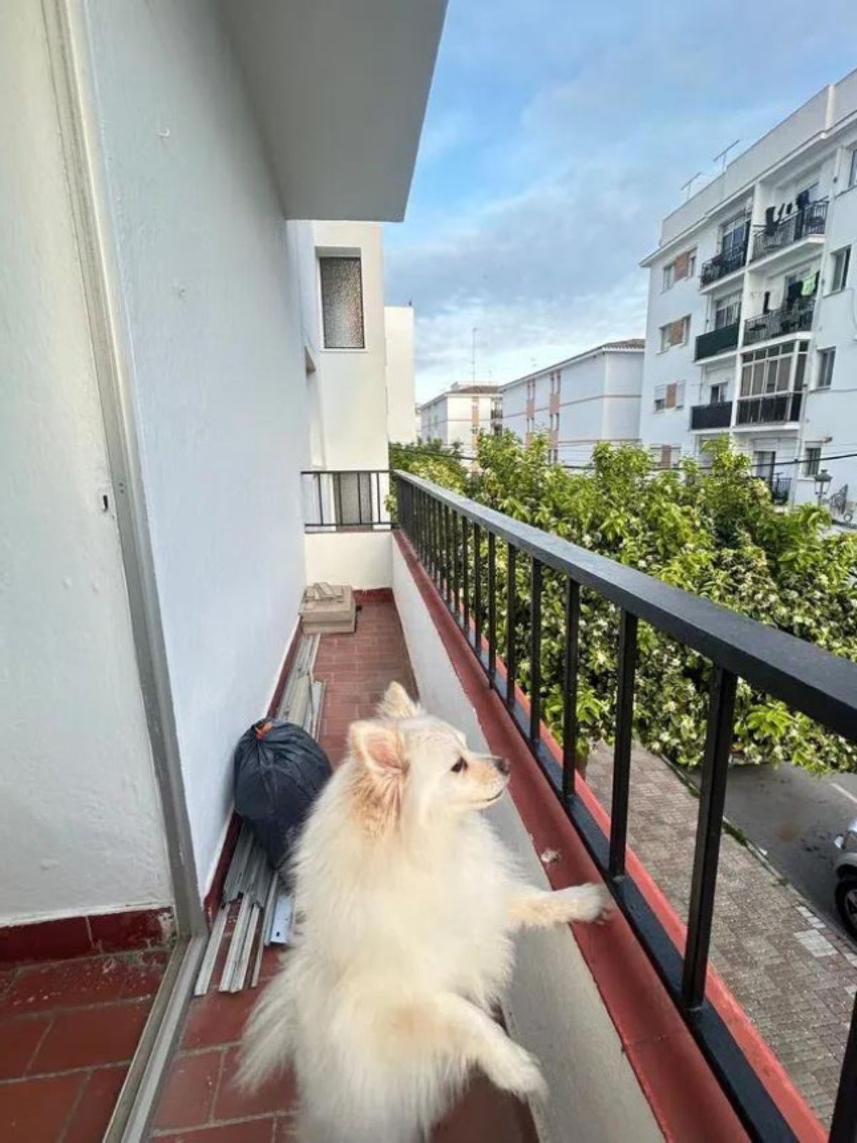 aaaf97447e740e430c492267006fc327 - 9