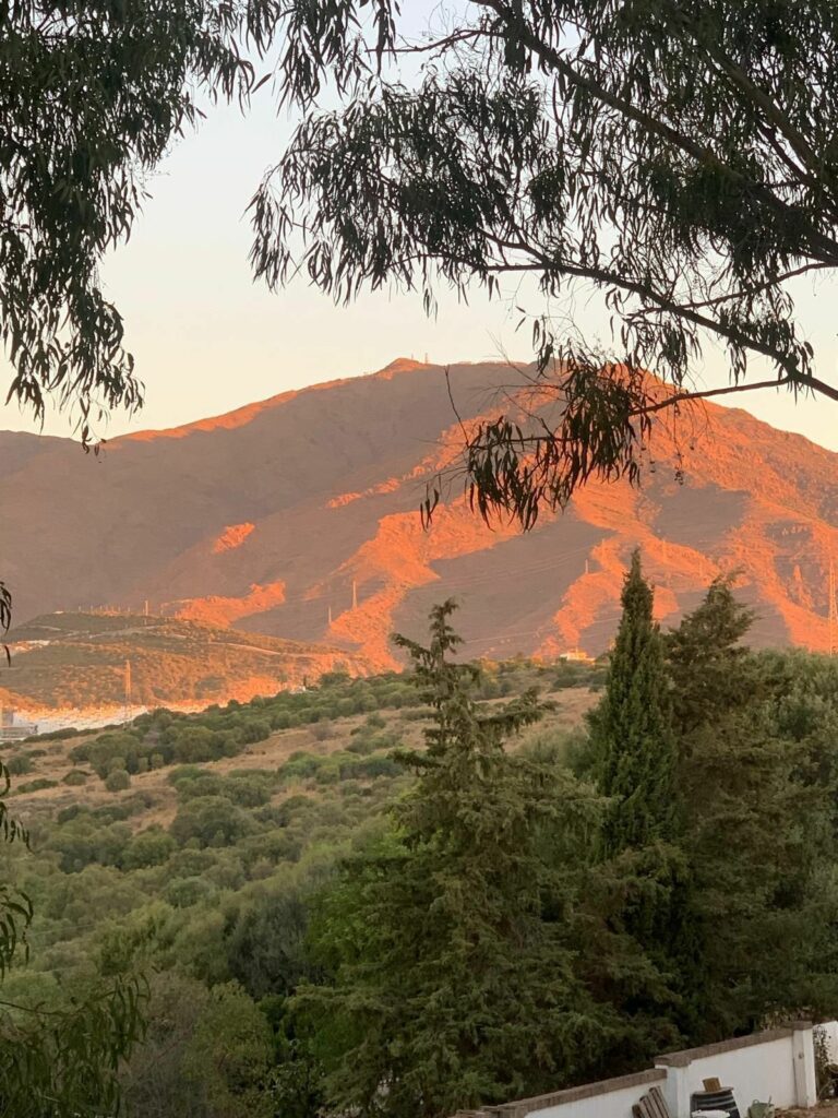 aeaf2c77b46300c0a9c98907ce14c9f6 - 13