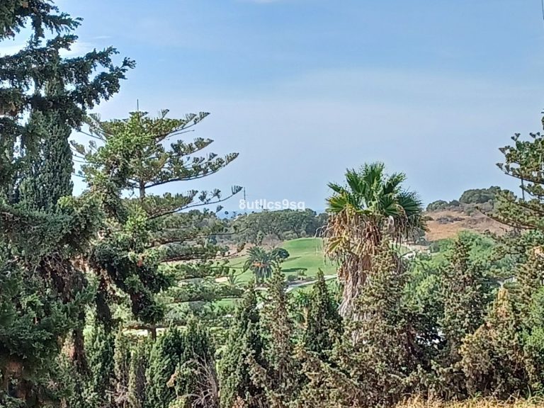 b40002e16da63742863b4a1efdc71134 - 1