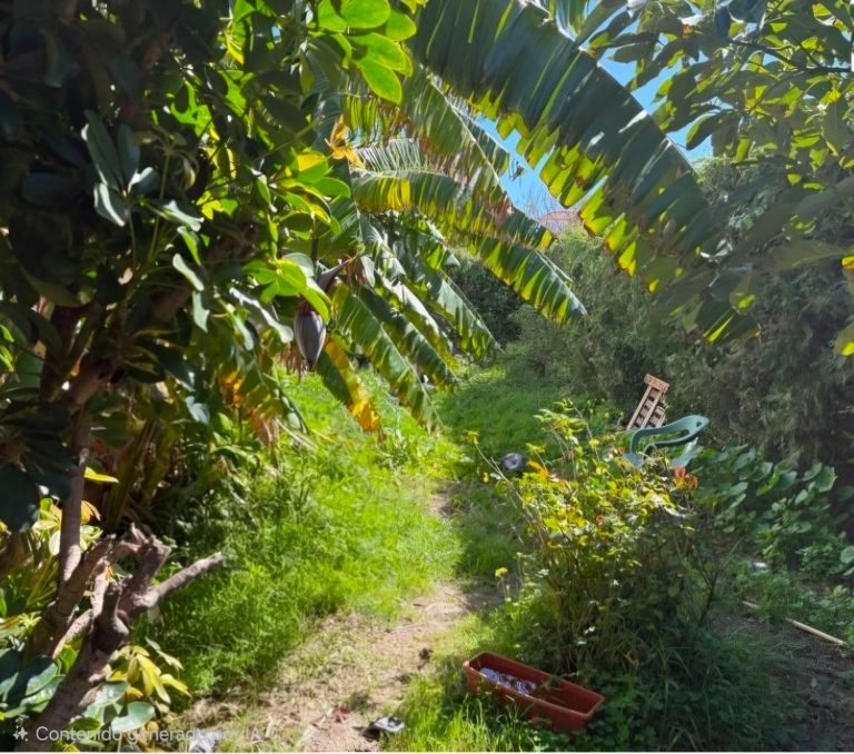 badbc30f50caa5a527486a3b3e744772 - 6