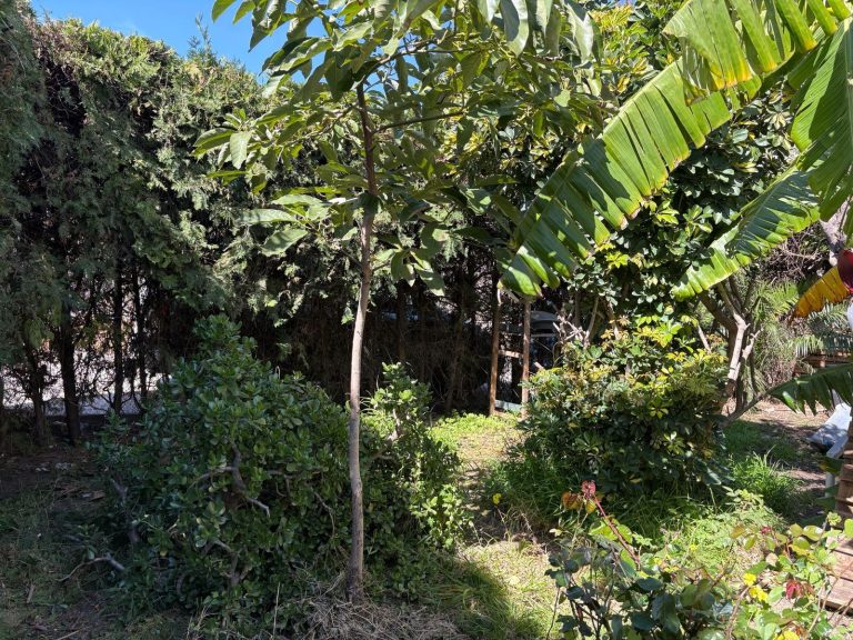 badbc30f50caa5a527486a3b3e744772 - 8