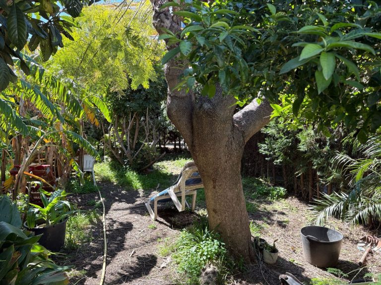 badbc30f50caa5a527486a3b3e744772 - 9