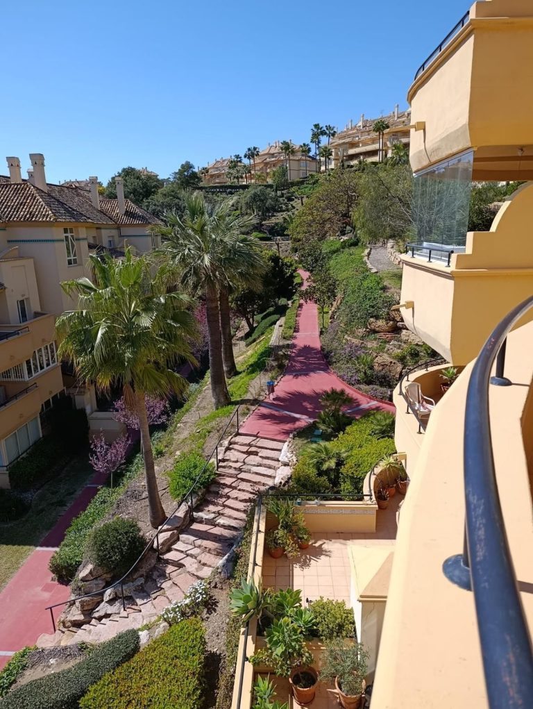 bfd33fc877a283d5cbd6179c3480556c - 15