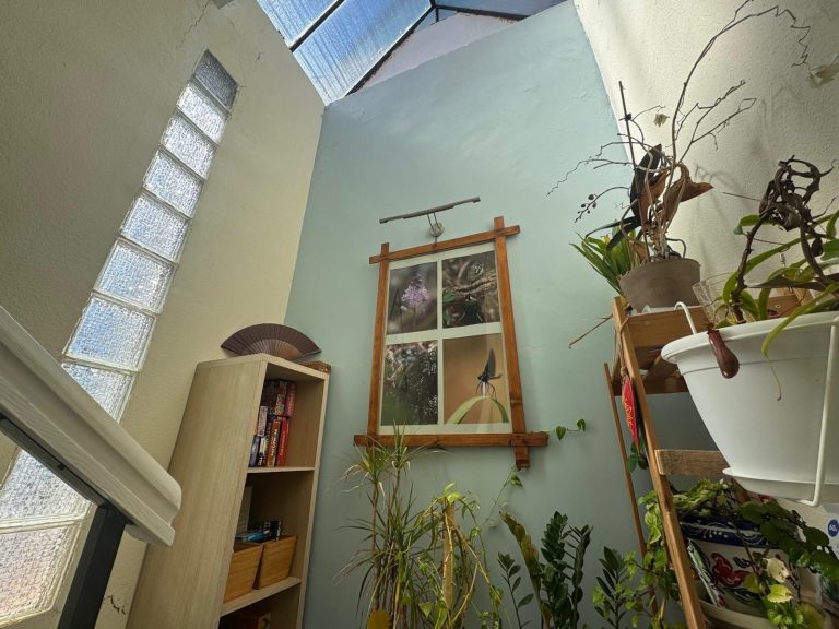 c0ca898e92d2571fb04a267f263dfd07 - 12