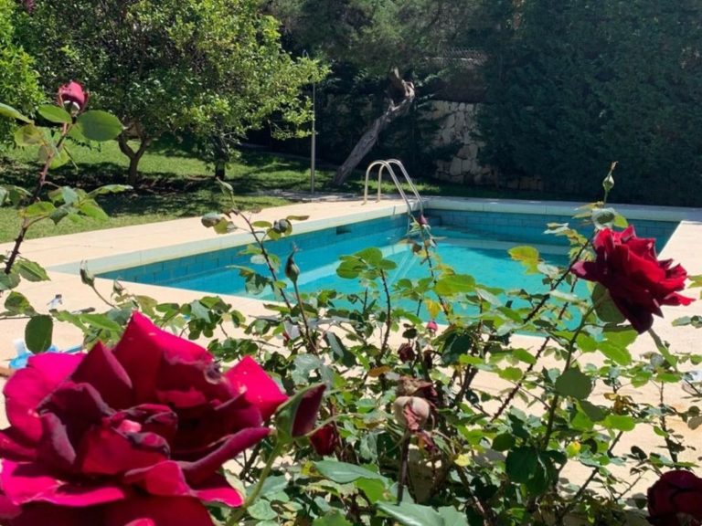 c6b1109025aa99b41ed5944fb81299a6 - 11