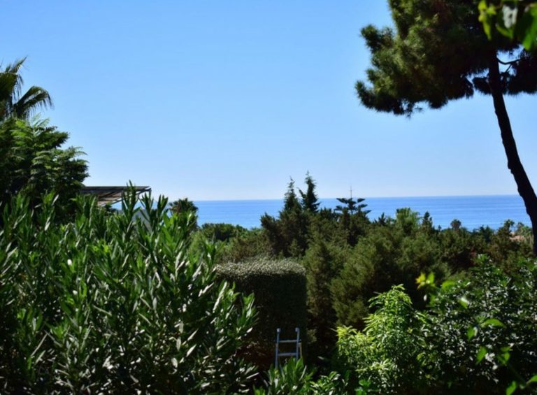 c6b1109025aa99b41ed5944fb81299a6 - 3