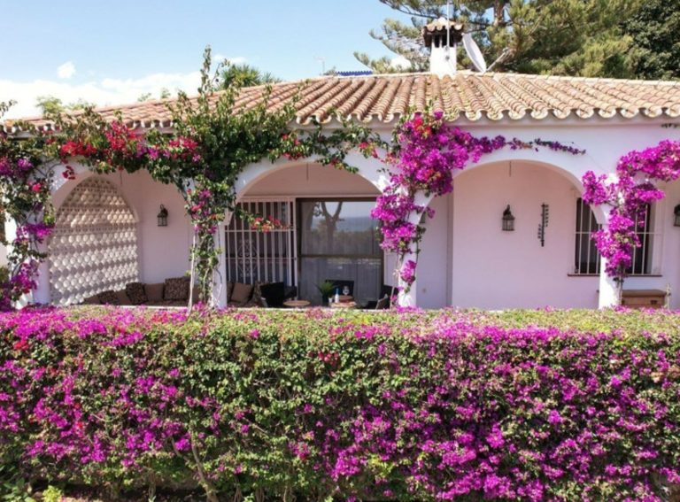 c6b1109025aa99b41ed5944fb81299a6 - 4