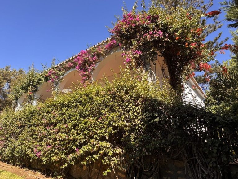 c6b1109025aa99b41ed5944fb81299a6 - 9