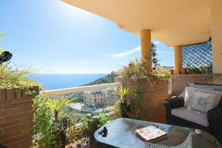 cfbd180ea7d94fe1fb90174eab677962 - 14