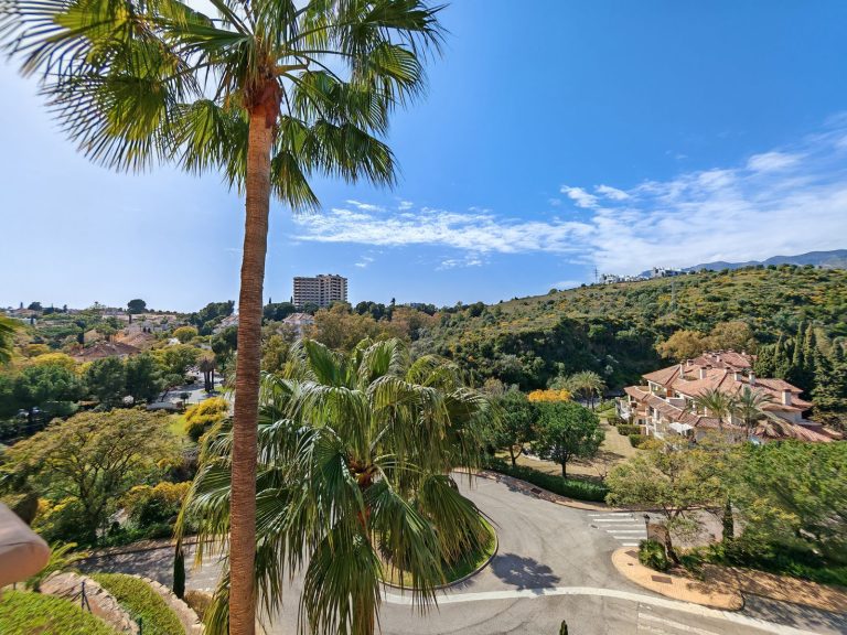 d40dfc6240c16d9550ceb704ddbf5fd7 - 12