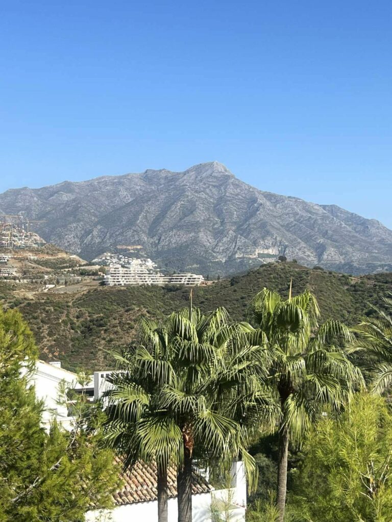 d5dc9aca37897d6a9188efbd27ada288 - 7