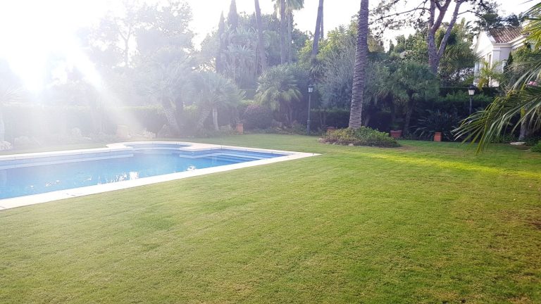 da2b513014c8b0211dbc11a692646811 - 11