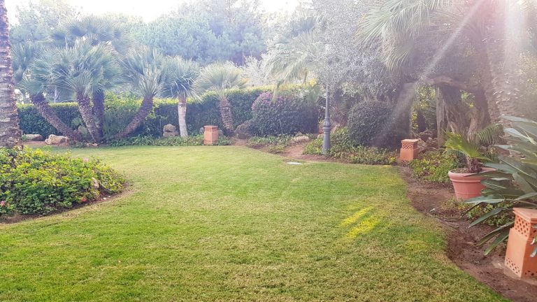 da2b513014c8b0211dbc11a692646811 - 13