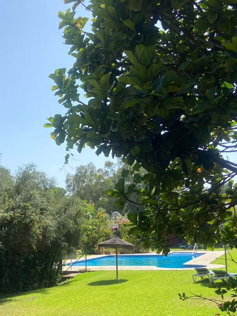 e72eed08641321b3c35ced64a916af4c - 4