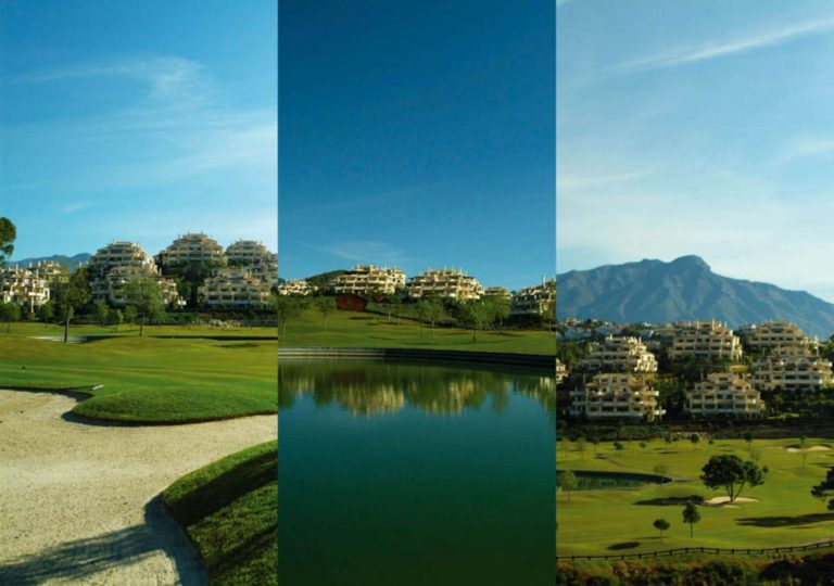 e9d616a96e4b48b99373b81d8115a858 - 11