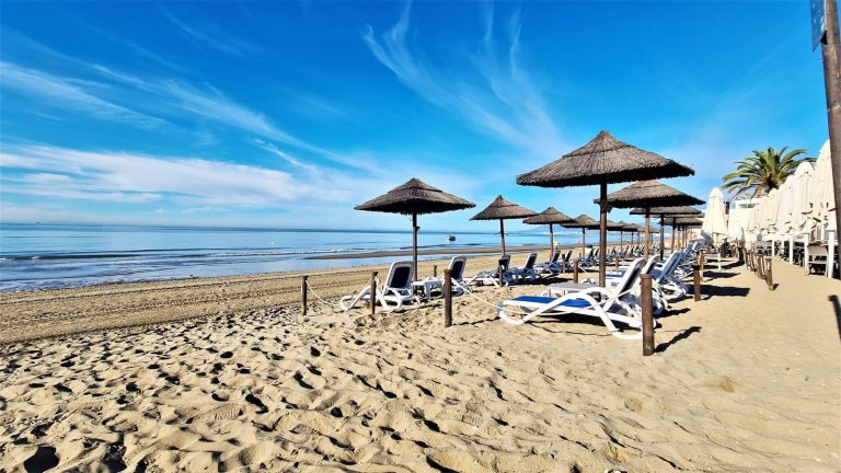 eecb942e7e1a52a86324ce69b5c5c0bb - 1