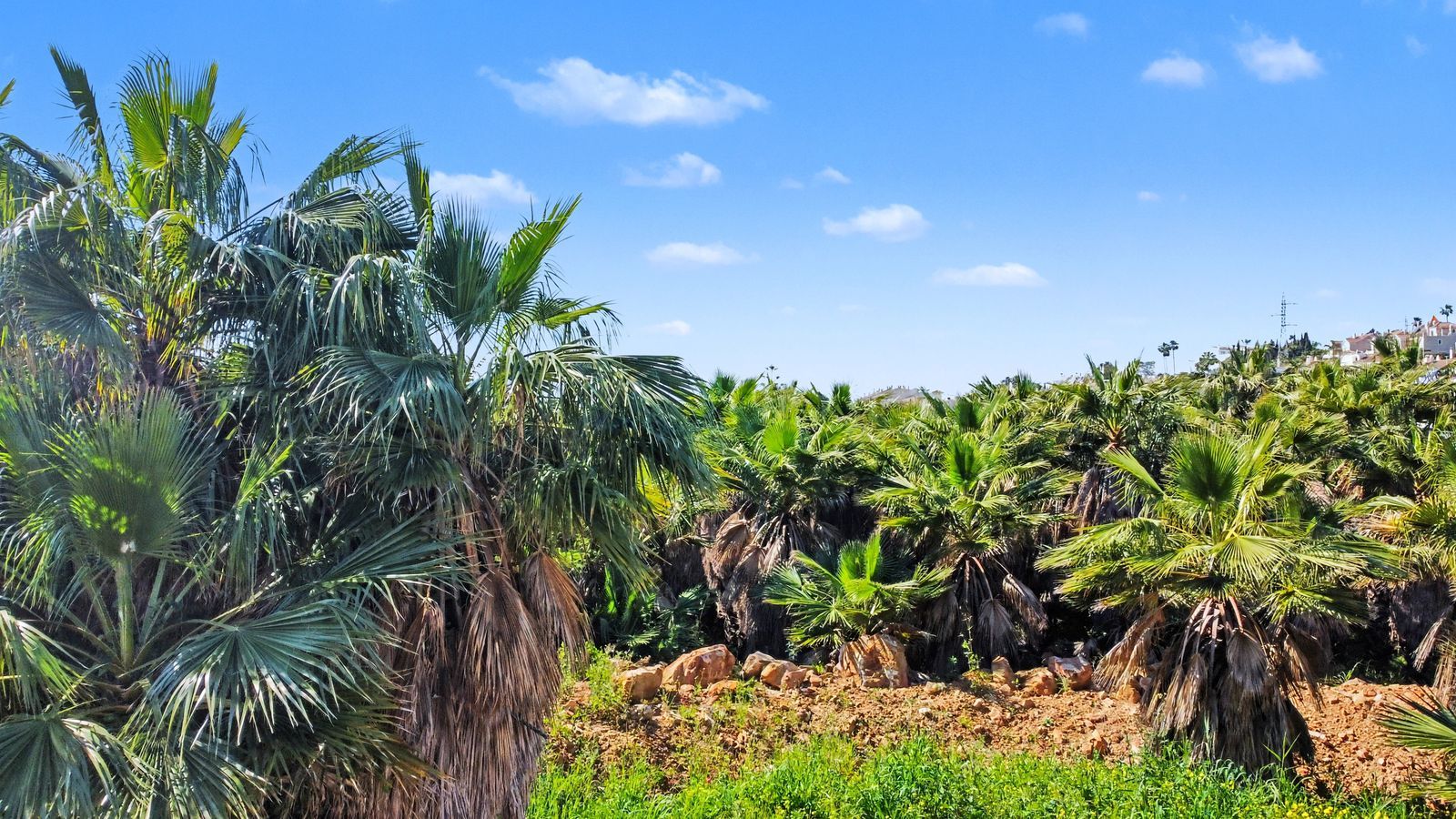 f0c20b566ef80fd8e334c67725d1120e - 12