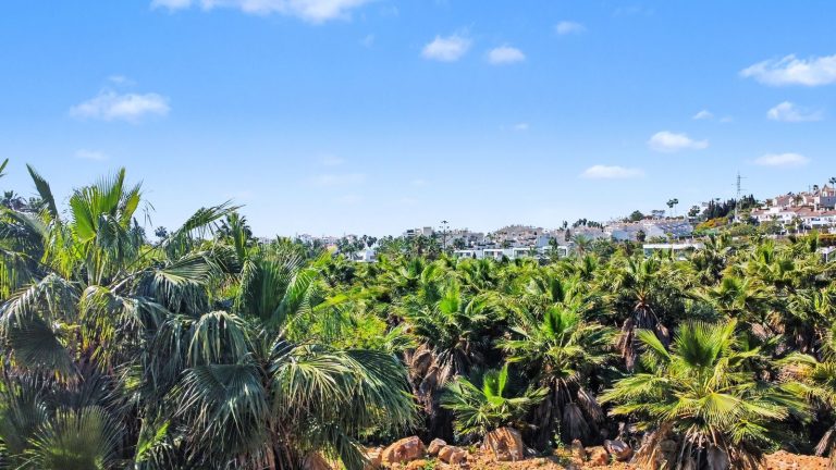 f0c20b566ef80fd8e334c67725d1120e - 4