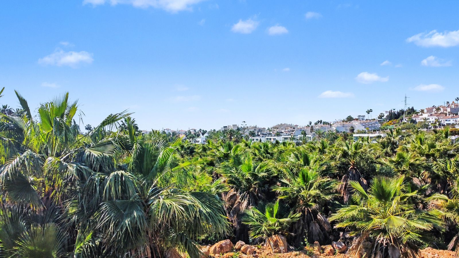 f0c20b566ef80fd8e334c67725d1120e - 4