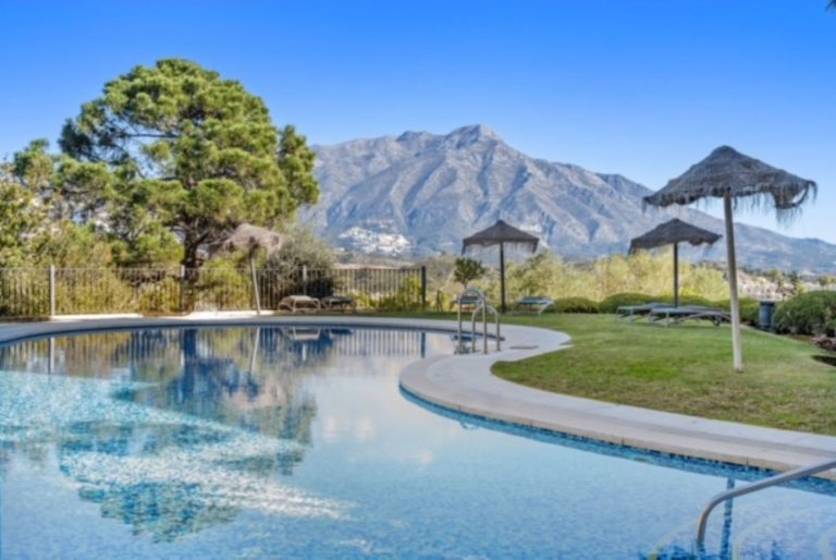 f1e78038995048ee2645fa531227158b - 2