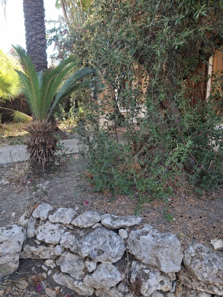 f778be597bc4549a450c7ba1c18e22d5 - 13