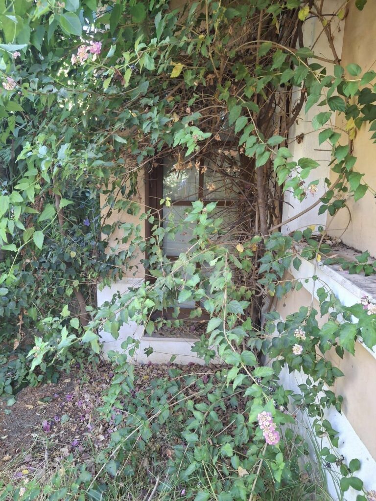 f778be597bc4549a450c7ba1c18e22d5 - 15