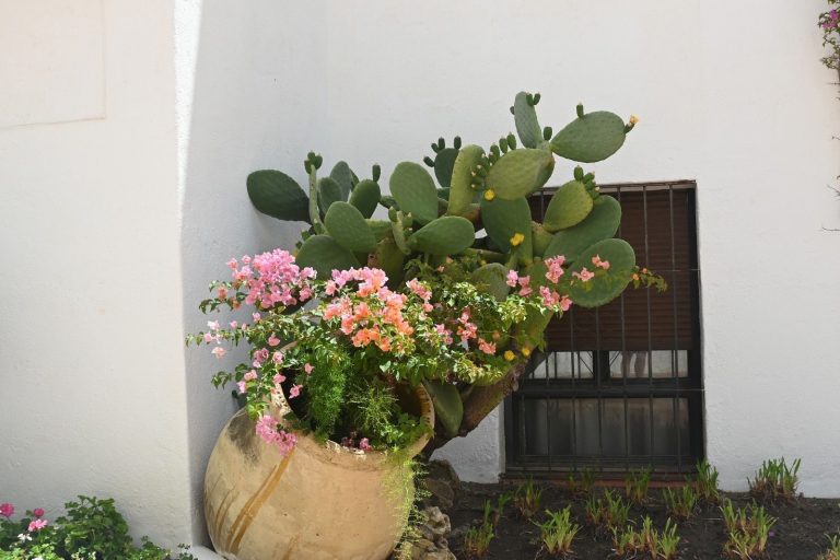 ffcfe9bfac7a0870e3d914a38753fc27 - 5