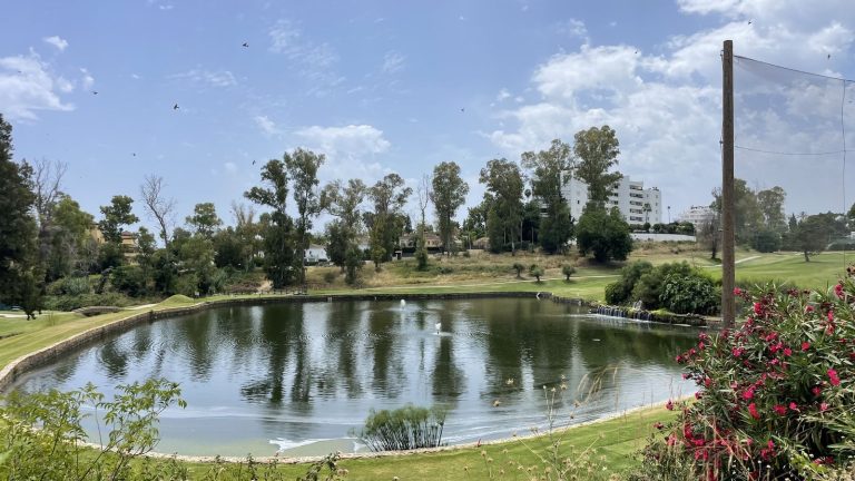 0309ed8ad749a4022edf5800cb63c7e5 - 3