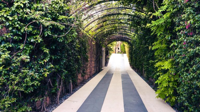 033fd3b97bbc0840ce22e187899651a0 - 2