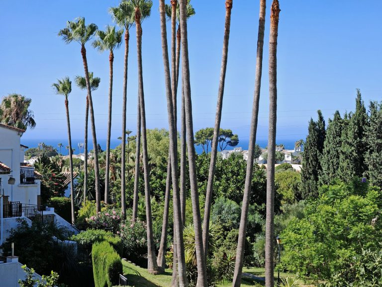 0ff6ea5376bc217248fda4a0351eb28a - 15