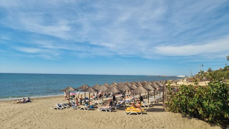 10b0fc8c879e4a9aa12f18fc7f29807d - 12