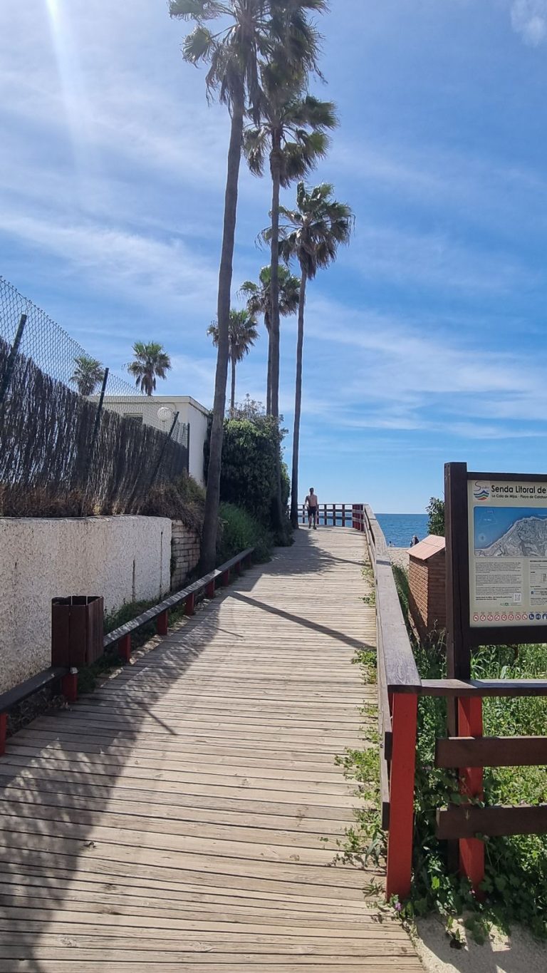 10b0fc8c879e4a9aa12f18fc7f29807d - 13