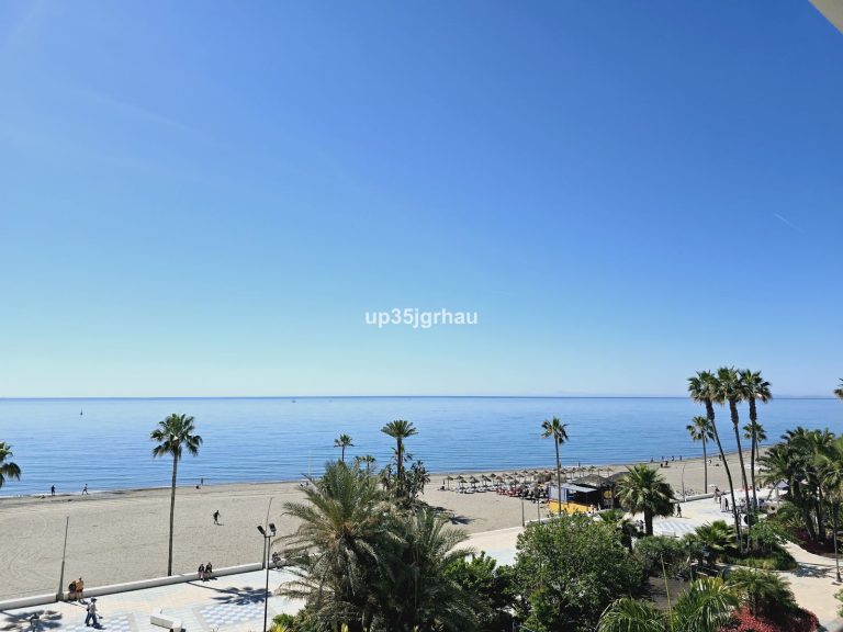 1592b1647c5b1b512d69f86adaf3d202 - 2