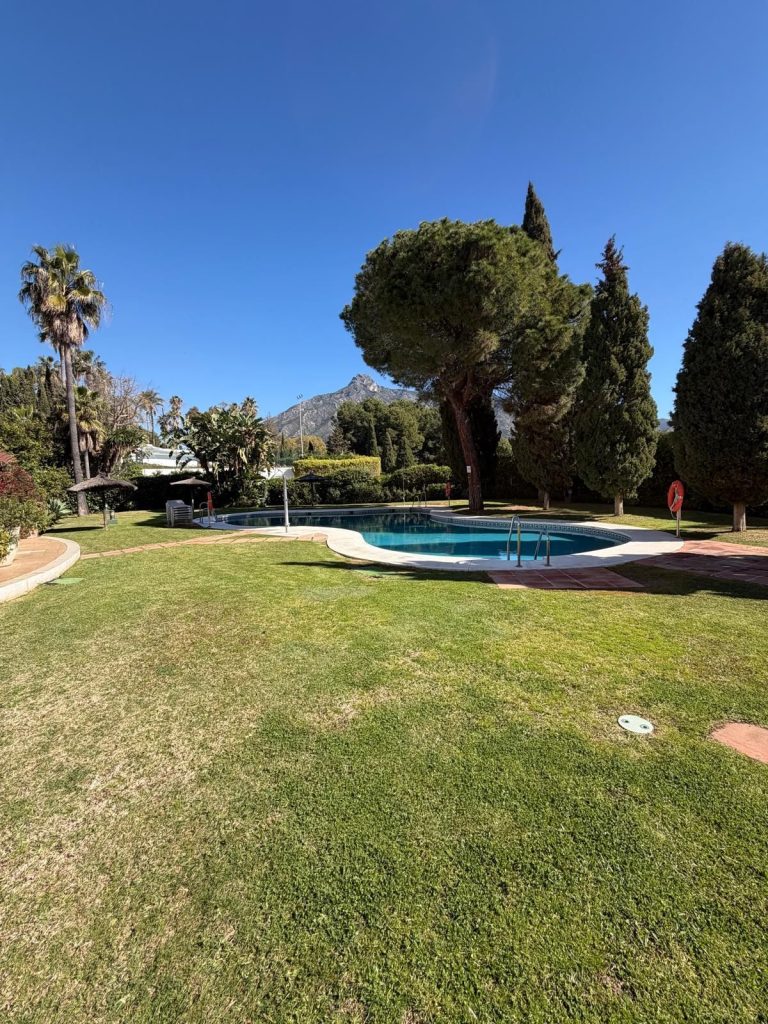 2557ac66b87ccecec8f77f195c841687 - 3