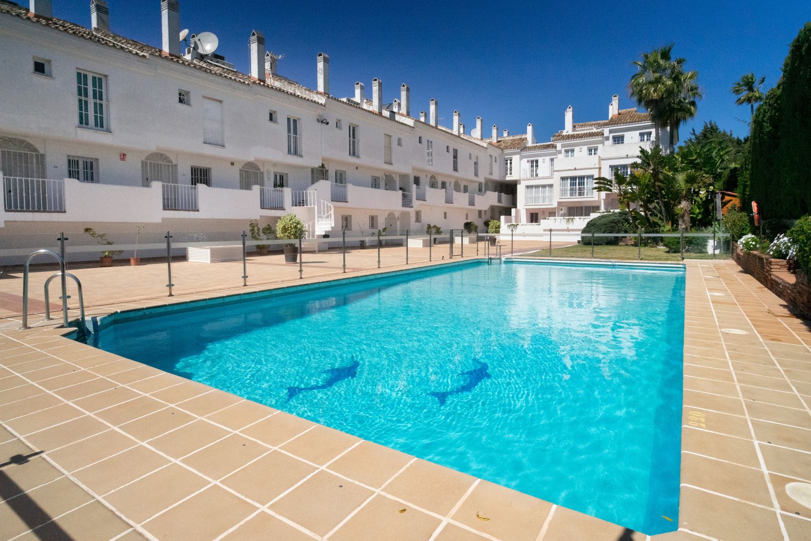 26bba9d3aecc0553734260a9cf923f6f - 1