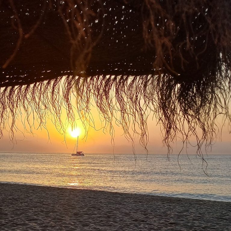 31ec0be8ce7243300b4c952122f26399 - 16