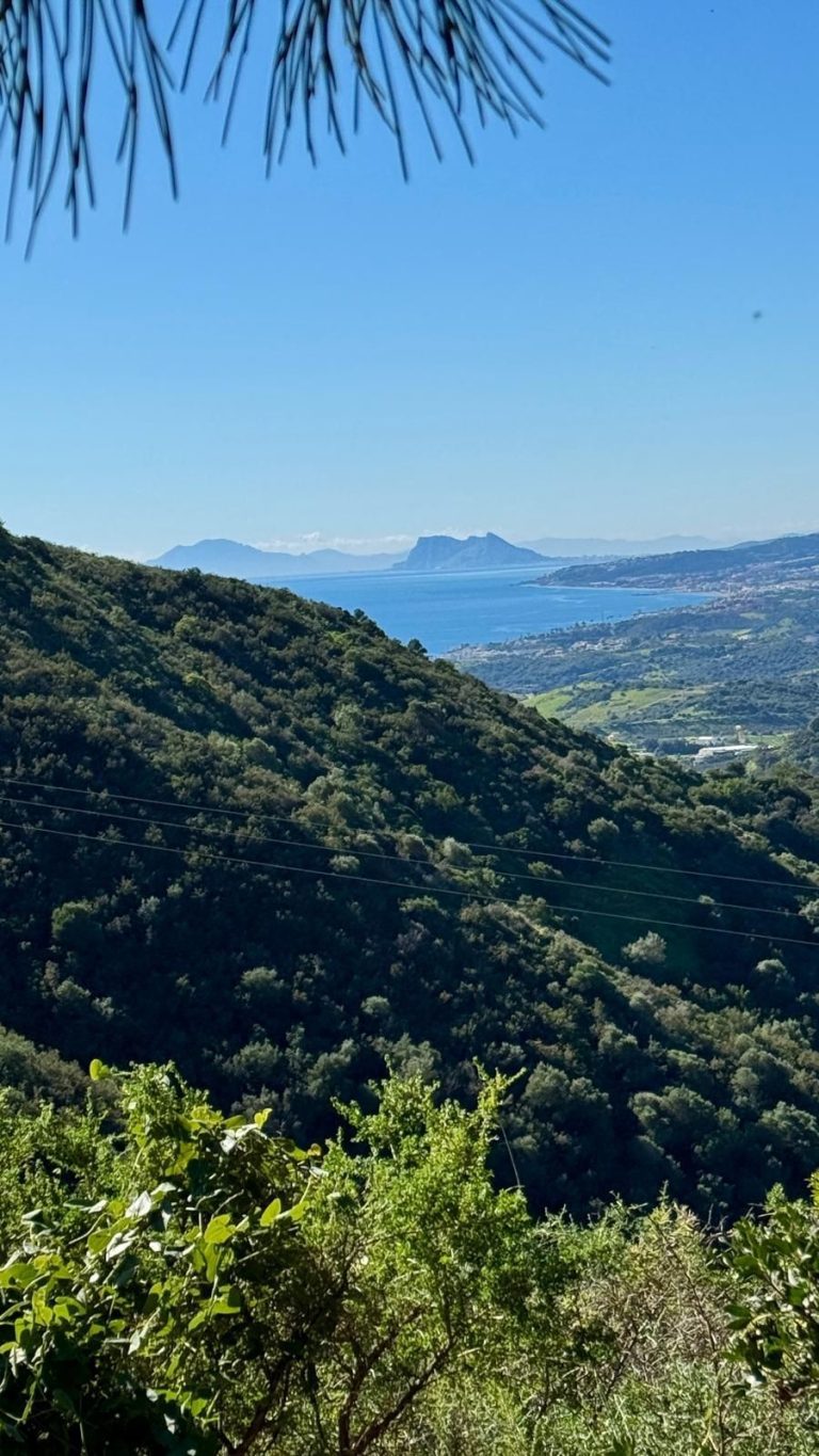 422932be4d3fc1b7c421275b114b6205 - 1