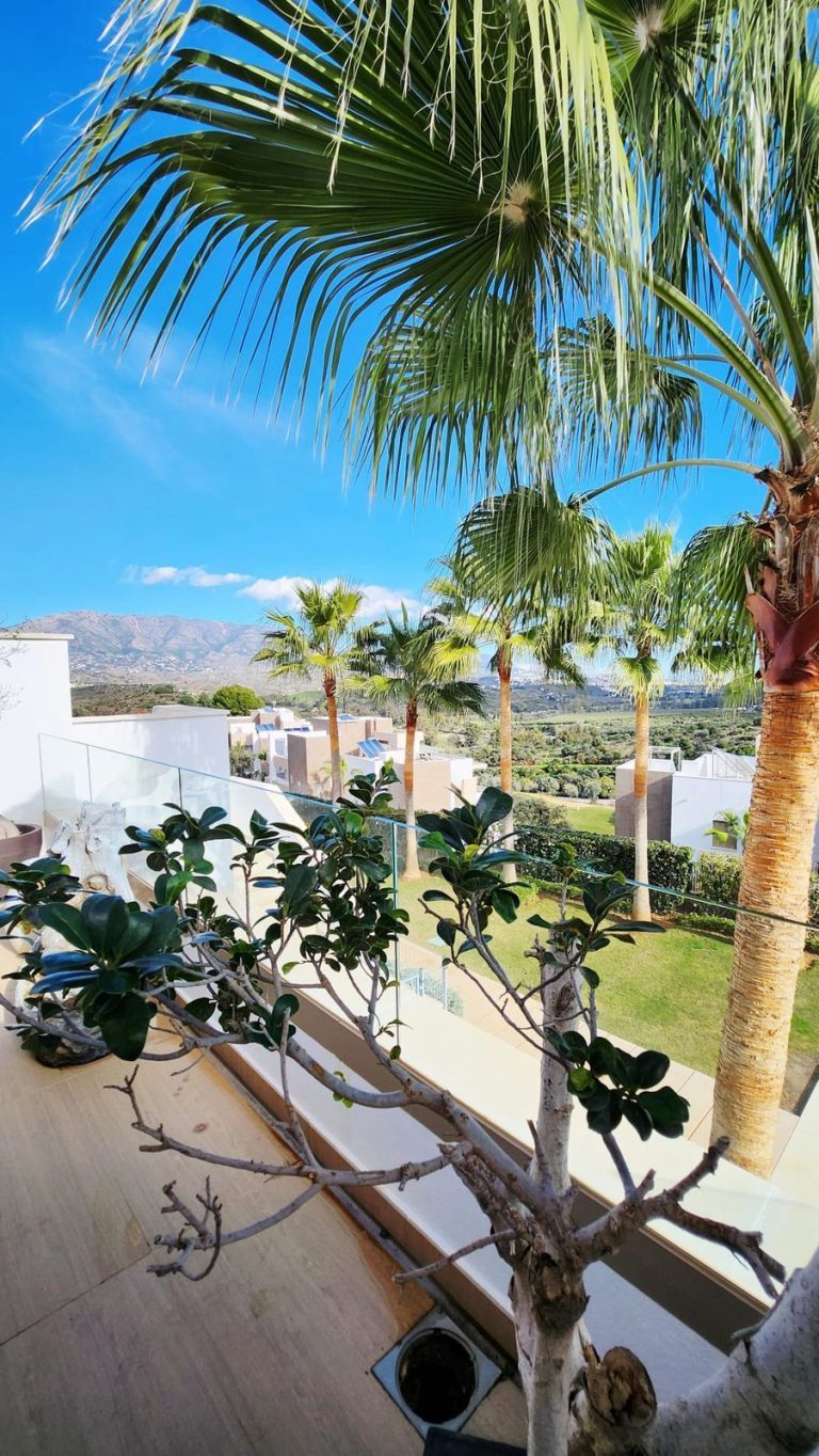 4ee3b2170a2dafefa0b81f40cf55a33e - 5