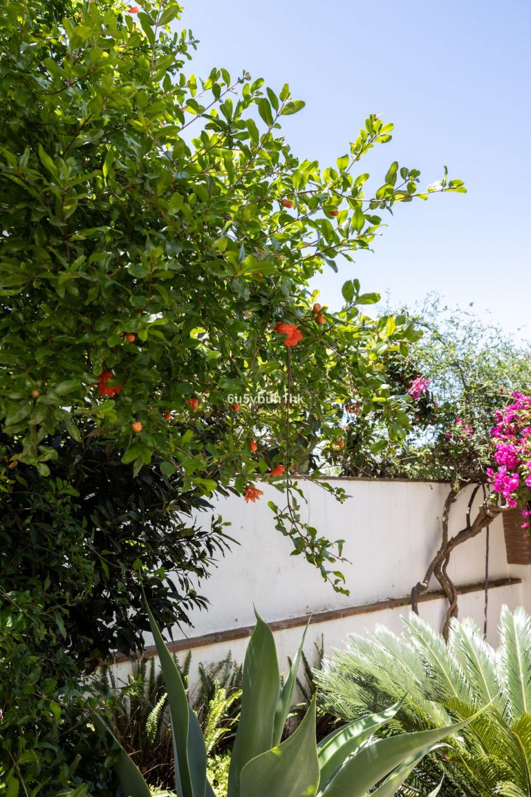 6849aadcd0df3ac40ea0f55ed862fc89 - 14