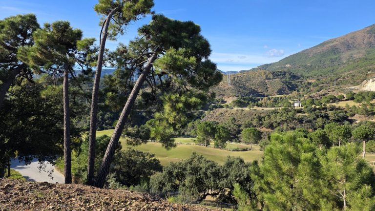 6c12679e7e4997e21f0bde36151ea2d9 - 3