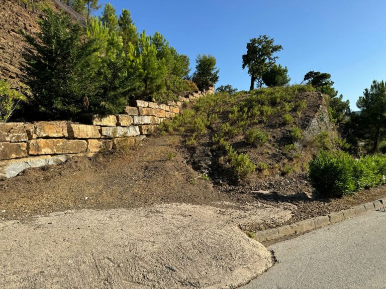 6c12679e7e4997e21f0bde36151ea2d9 - 9