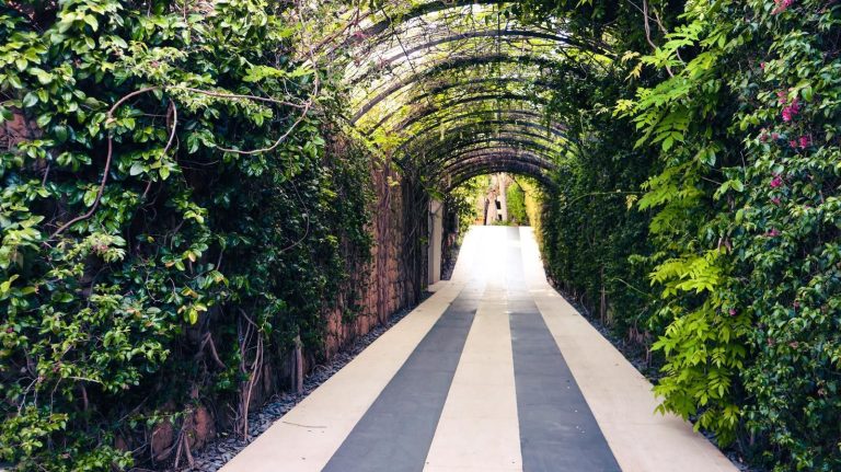 7810af861ff370b9fe456c74dd66ec37 - 12