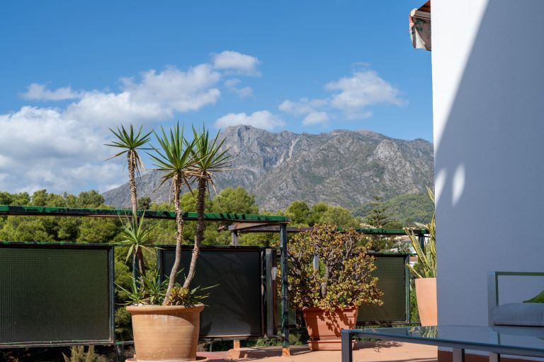 8228ace6cf2fe9cc7eccc2c9db68bcb2 - 3