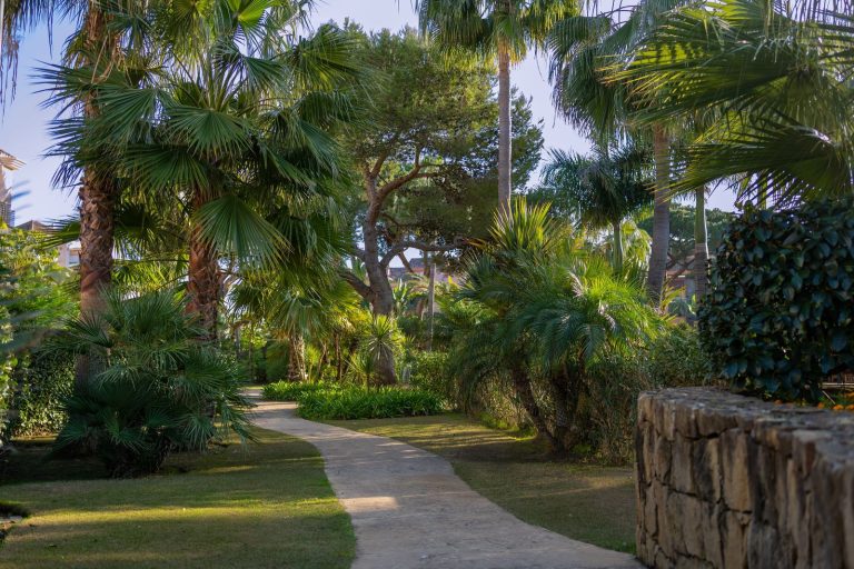 88e79fff0ed95993c8bc154d09c04e03 - 3