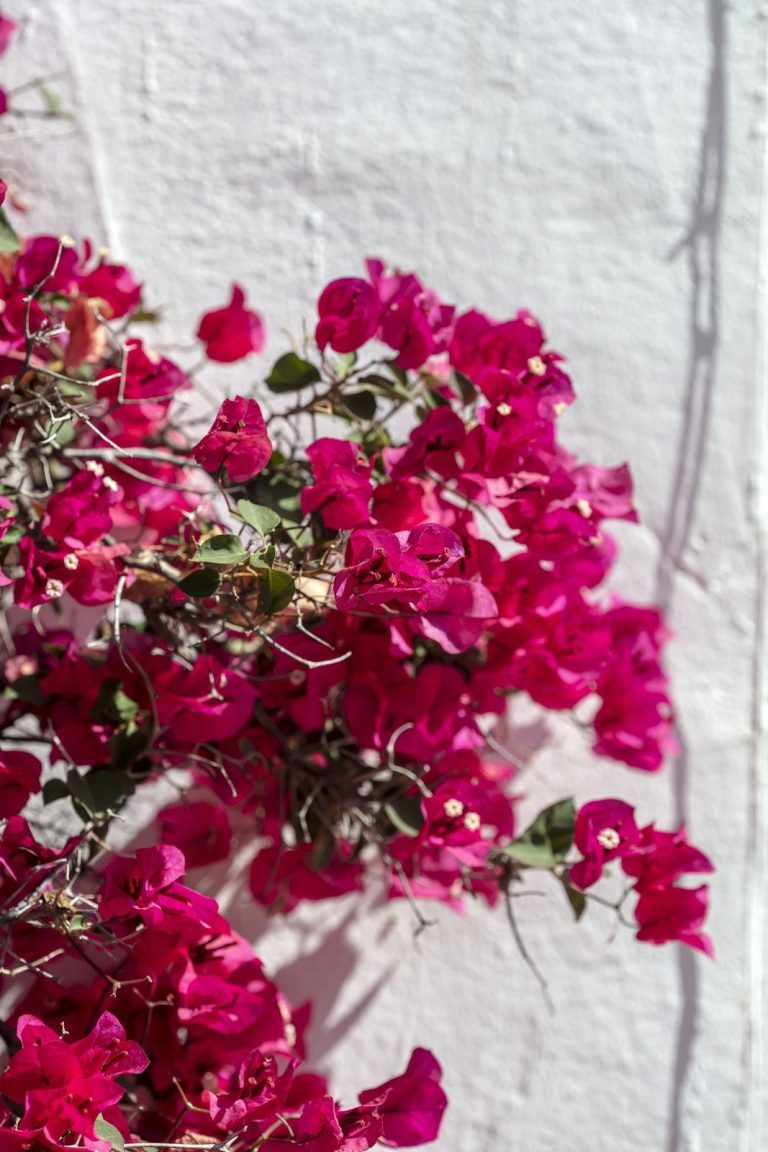 8bb392d811349946e4a20c34de60600d - 3